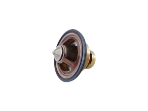 Termostat John Deere DZ111682