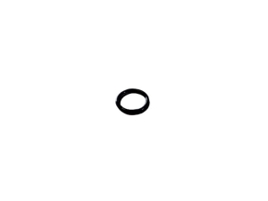 T77857 O-RING