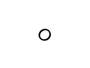 L164885 ORING