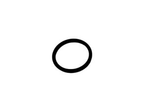 L33070 ORING
