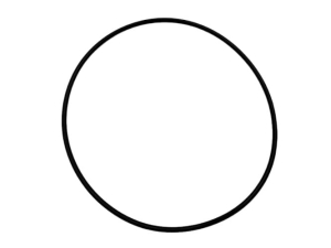 L37731 ORING