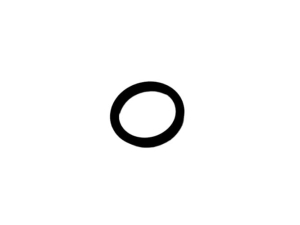 L41536 ORING