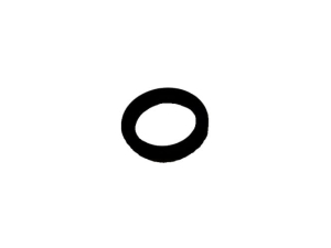 L53813 ORING