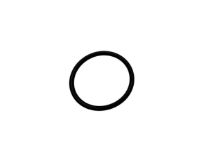 L53819 ORING