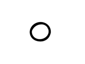 L53976 ORING