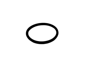 L53825 ORING