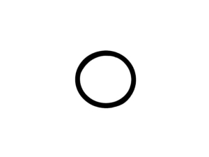 L115682 ORING