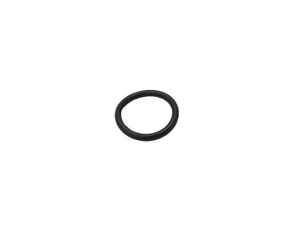 ER028113 O-RING