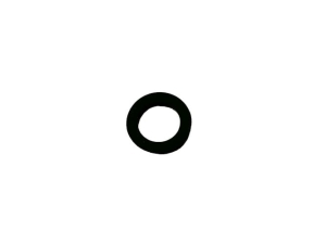 ER262395 ORING