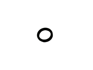 ER262396 ORING