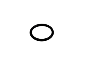 F3171R ORING