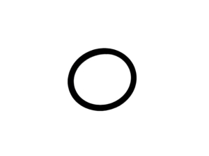 L59901 ORING