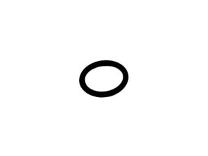 CH10570 ORING