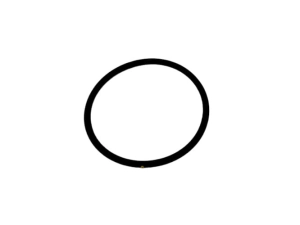 R106663 O-RING