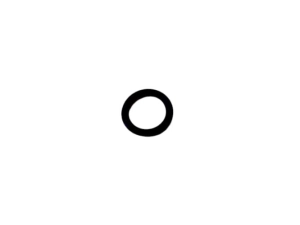 R28782 O-RING