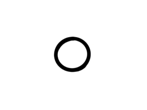 R33259 O-RING