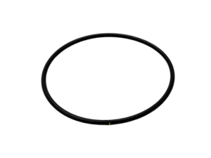 R56757 O-RING