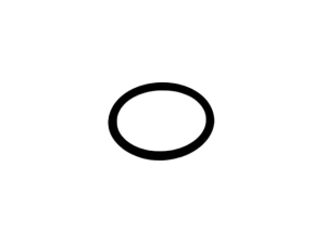 U10289 ORING