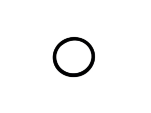 U12037 O-RING