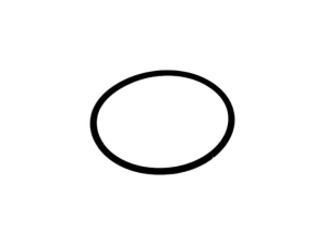 U15415 ORING