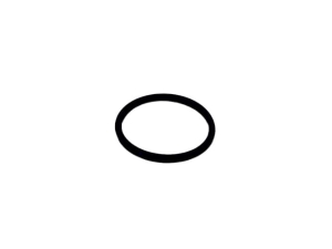 WZ1400939 ORING