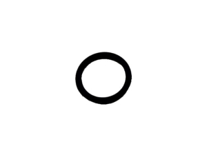 T40308 ORING