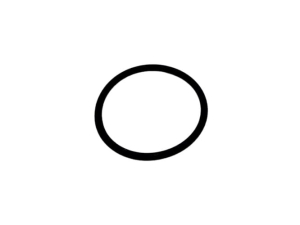 T76938 O-RING
