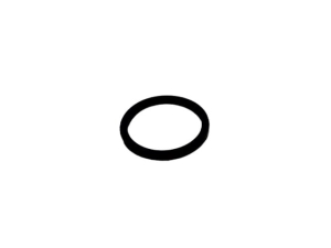 T143169 O-RING