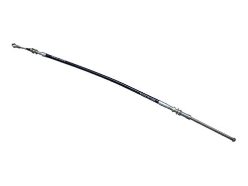 AL181986-1.jpg
