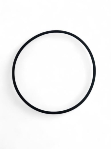 R55453 O-RING